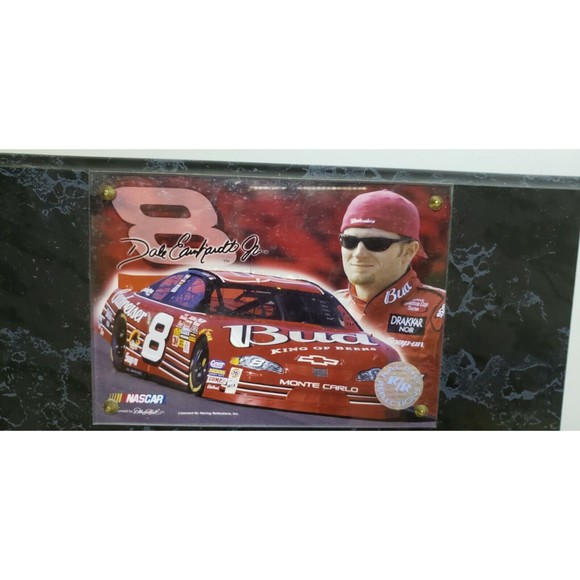 Dale Earnhardt Jr #8 Racing Great Wall Plaques Authentic Race Tire Winston Cup - Picture 2 of 5